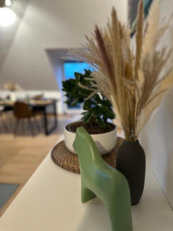 Oasis Appart - Wohnen Am Elbtal - Balkon - Netflix - Tiefgarage Dresden Eksteriør bilde