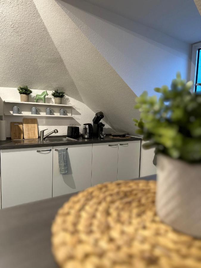 Oasis Appart - Wohnen Am Elbtal - Balkon - Netflix - Tiefgarage Dresden Eksteriør bilde