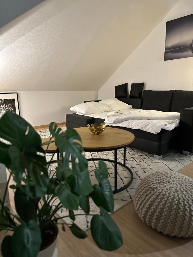 Oasis Appart - Wohnen Am Elbtal - Balkon - Netflix - Tiefgarage Dresden Eksteriør bilde